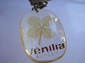 30Euros_Venilia