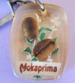 3Euros_Mokaprima