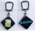 6Euros_SAEC