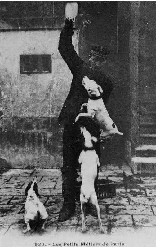 Le_Dresseur_de_chien_ratier.jpg