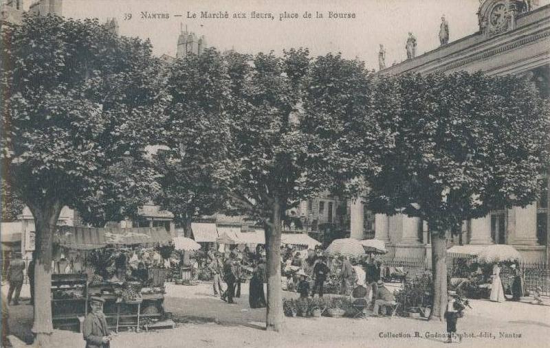 Nantes_Le_marche_aux_fleurs.JPG