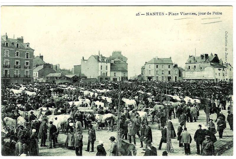 Nantes_Place_Viarmes_Jour_de_Foire_00.jpg