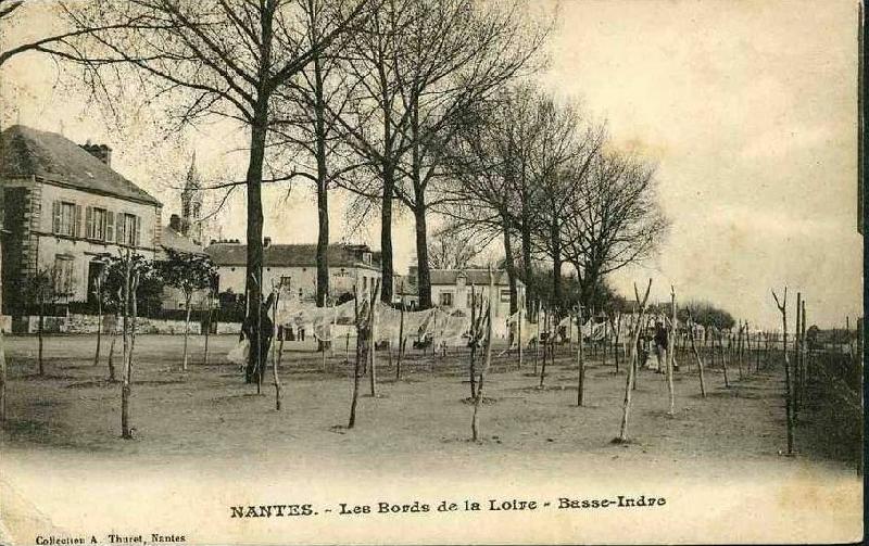 Basse-Indre_Les_Bords_de_Loire.jpg