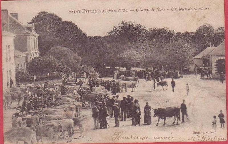 ST-Etienne-de-Mont-Luc_Champ_de_Foire_un_jour_de_Concour.jpg