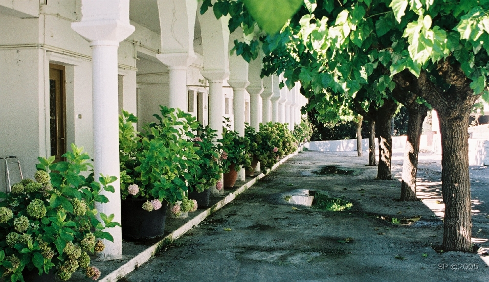 Centre_Ile_01.JPG