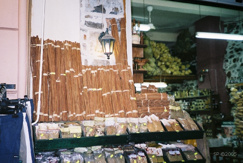 Cote_Est_AGIOS_NIKOLAOS_Canelle.JPG