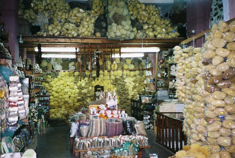 Cote_Est_AGIOS_NIKOLAOS_Eponges.JPG