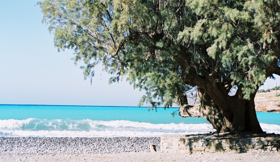 Cote_Est_THOLOS_03.JPG