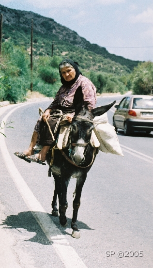 Cote_Nord_Sagesse_01.JPG