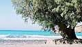 Cote_Est_THOLOS_03