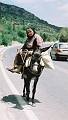 Cote_Nord_Sagesse_01