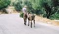 Cote_Sud_Sagesse